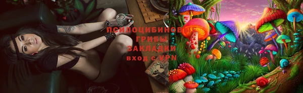 соль курить ск Арсеньев