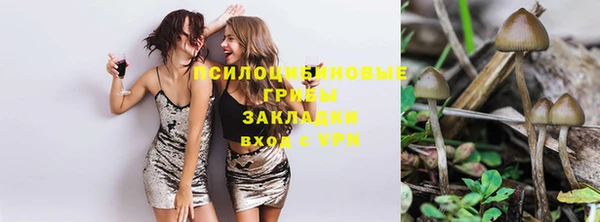 трава Армянск